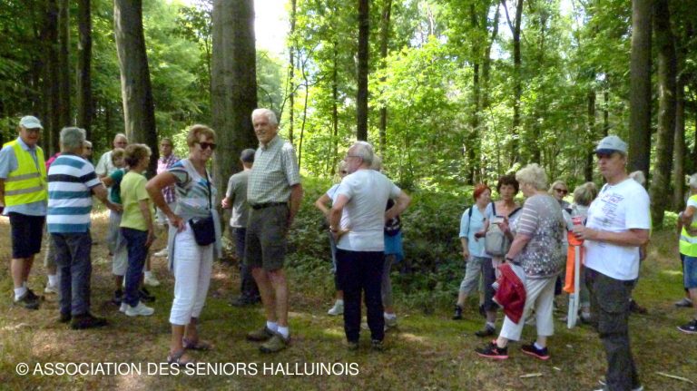 marche-du-3-juillet-2017-595a7950a5084